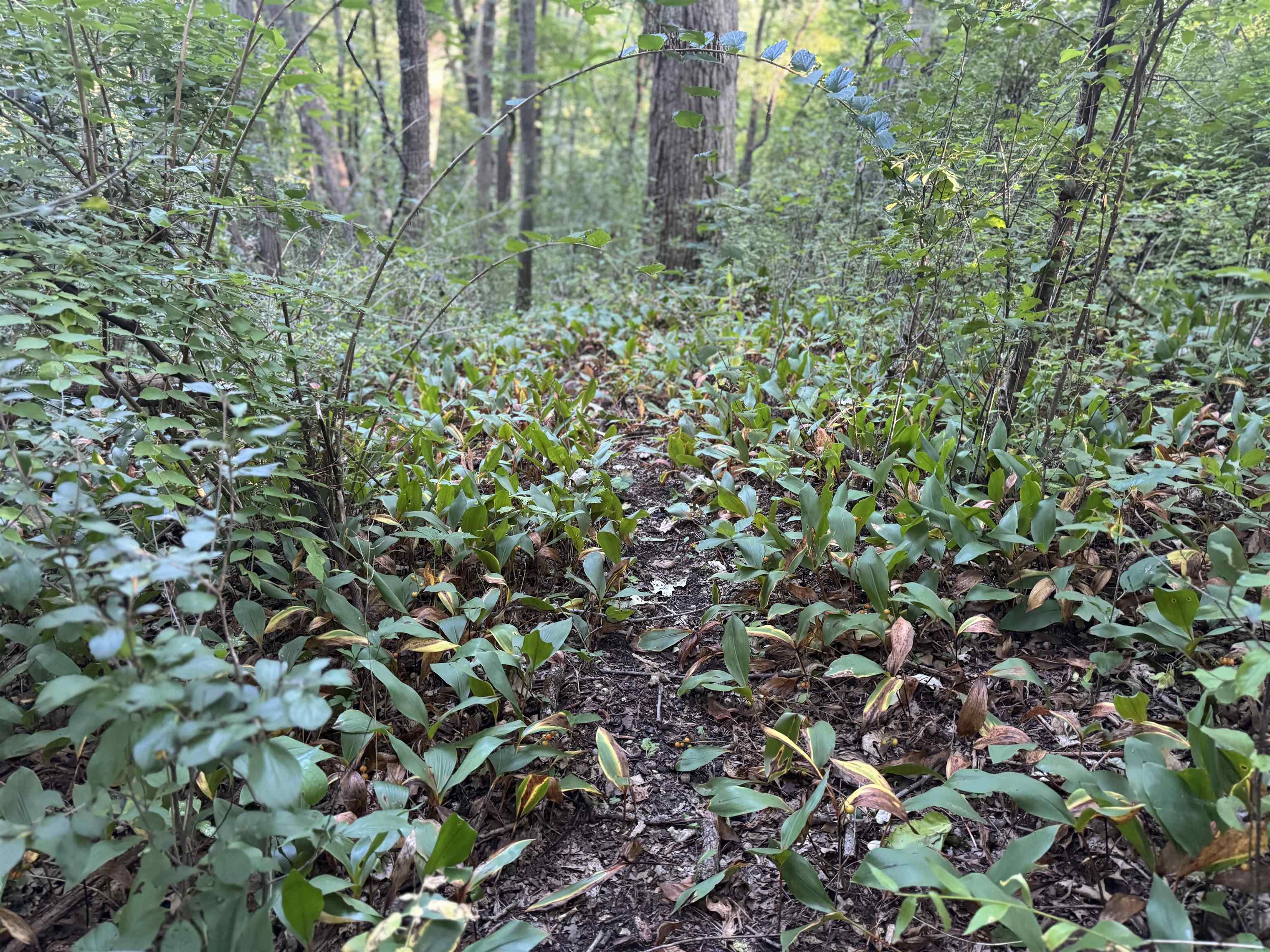 1.29 M/l Acres South Molar Beloit, WI 53511 - Photo 23 of 34