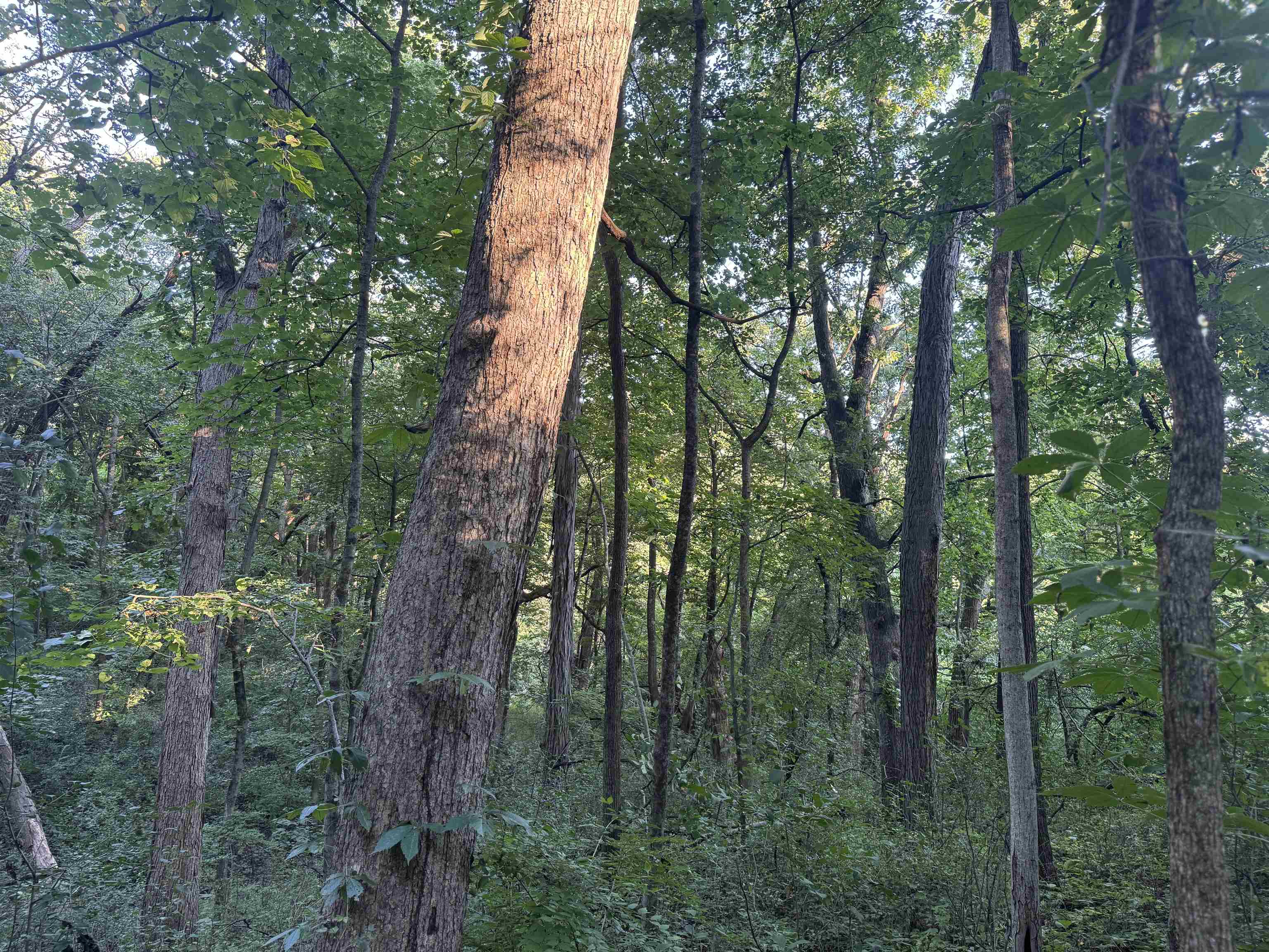 1.29 M/l Acres South Molar Beloit, WI 53511 - Photo 24 of 34