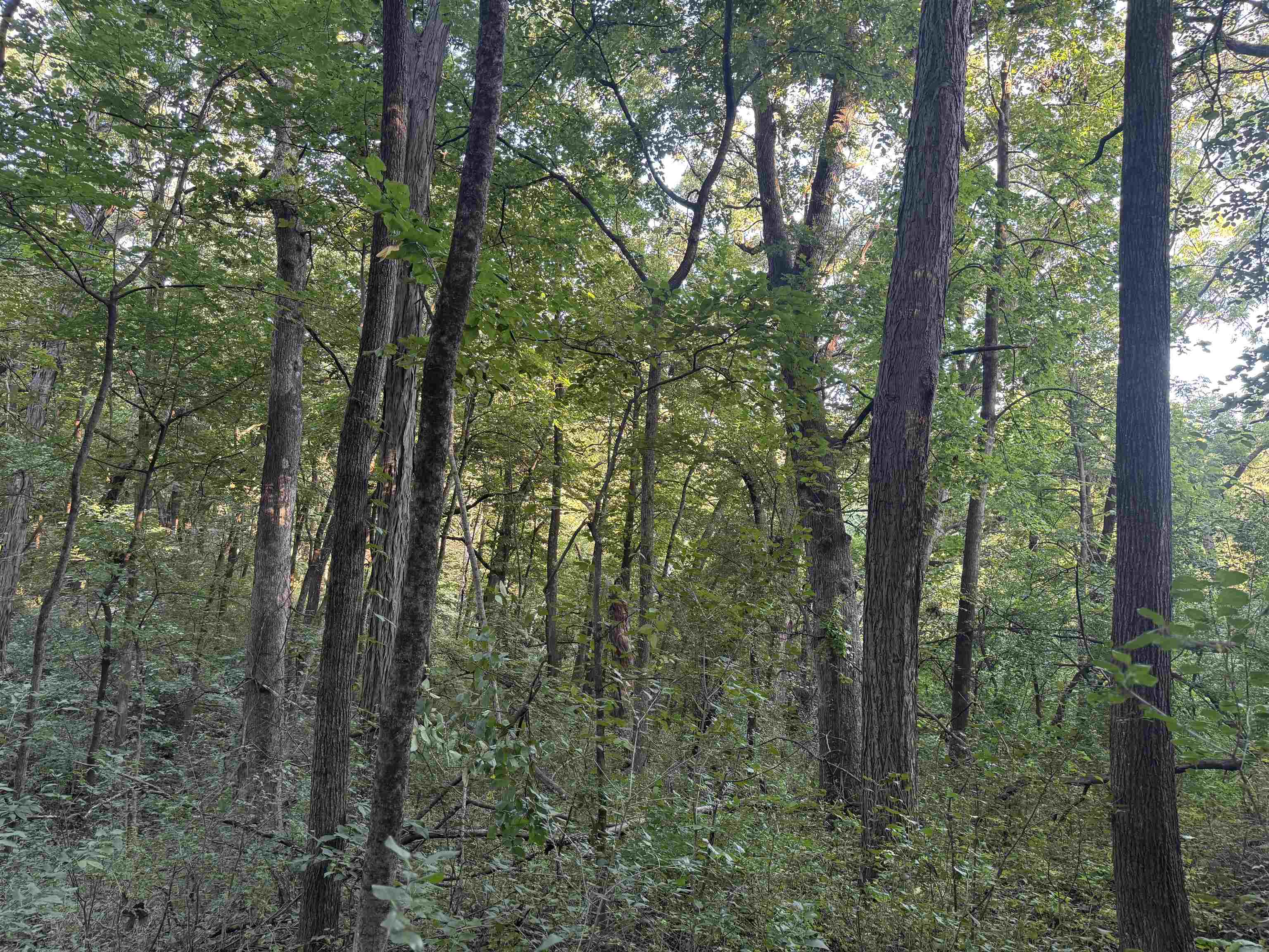 1.29 M/l Acres South Molar Beloit, WI 53511 - Photo 25 of 34