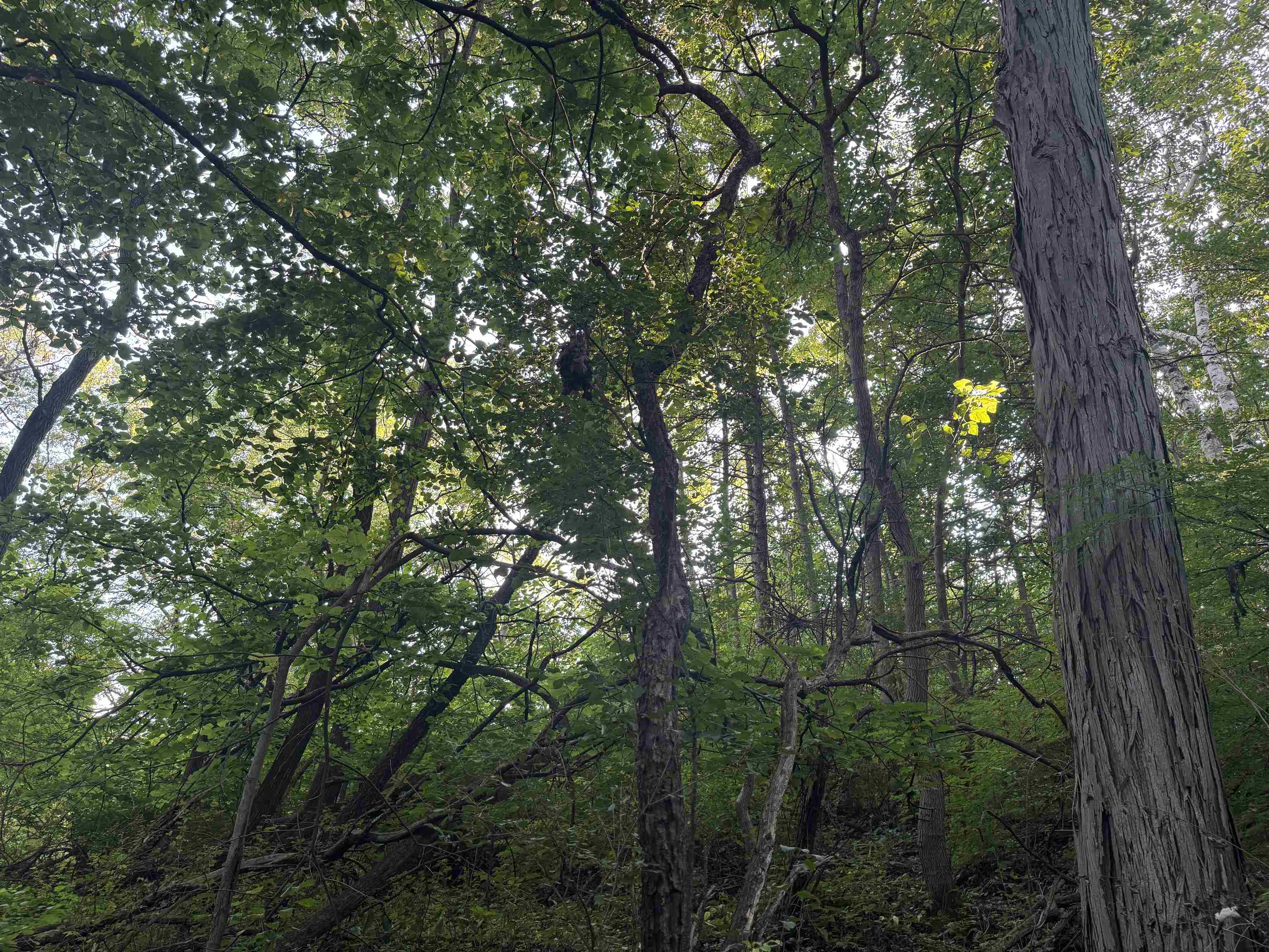 1.29 M/l Acres South Molar Beloit, WI 53511 - Photo 26 of 34