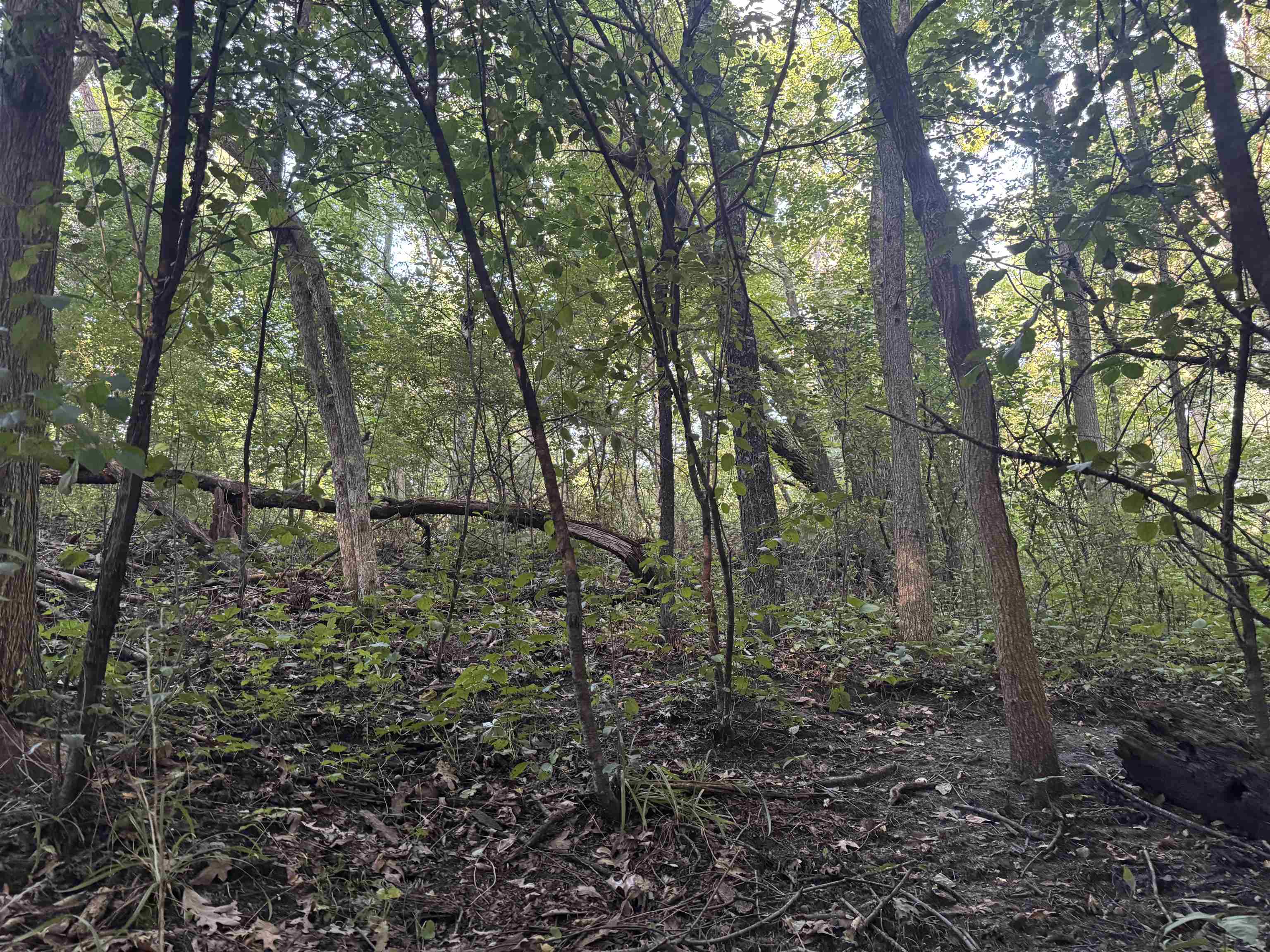 1.29 M/l Acres South Molar Beloit, WI 53511 - Photo 27 of 34