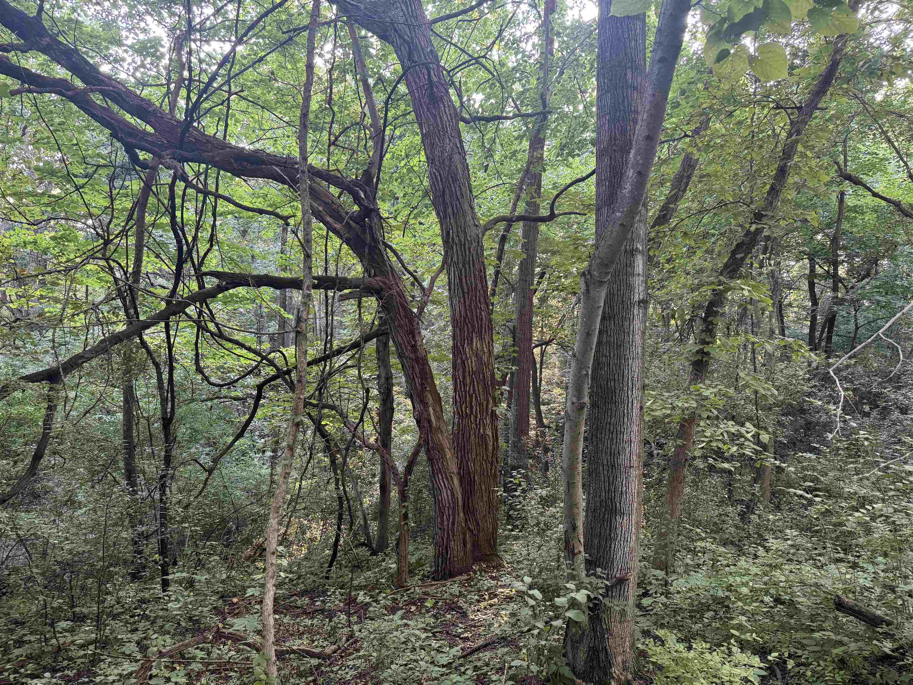 1.29 M/l Acres South Molar Beloit, WI 53511 - Photo 28 of 34