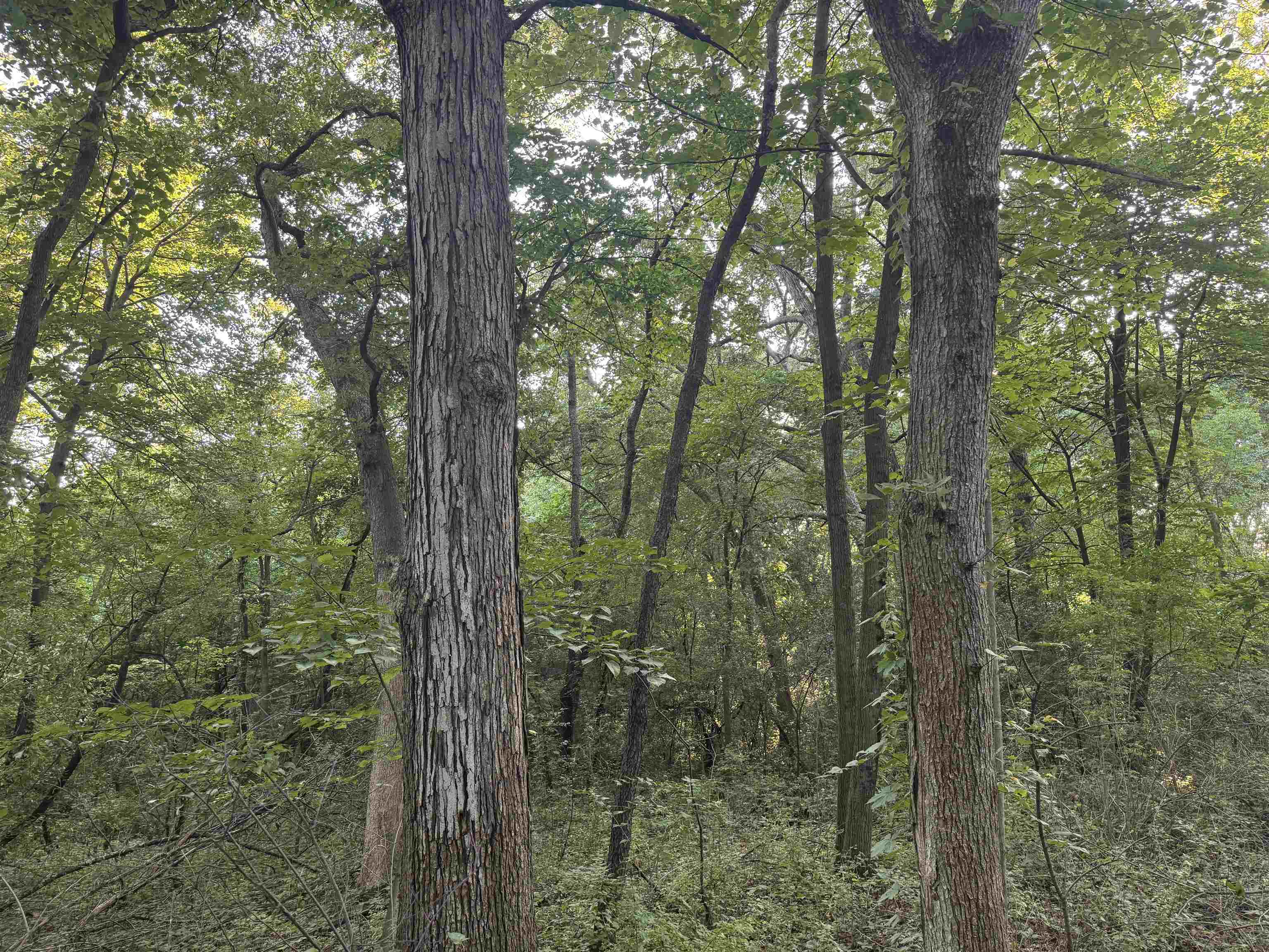 1.29 M/l Acres South Molar Beloit, WI 53511 - Photo 30 of 34