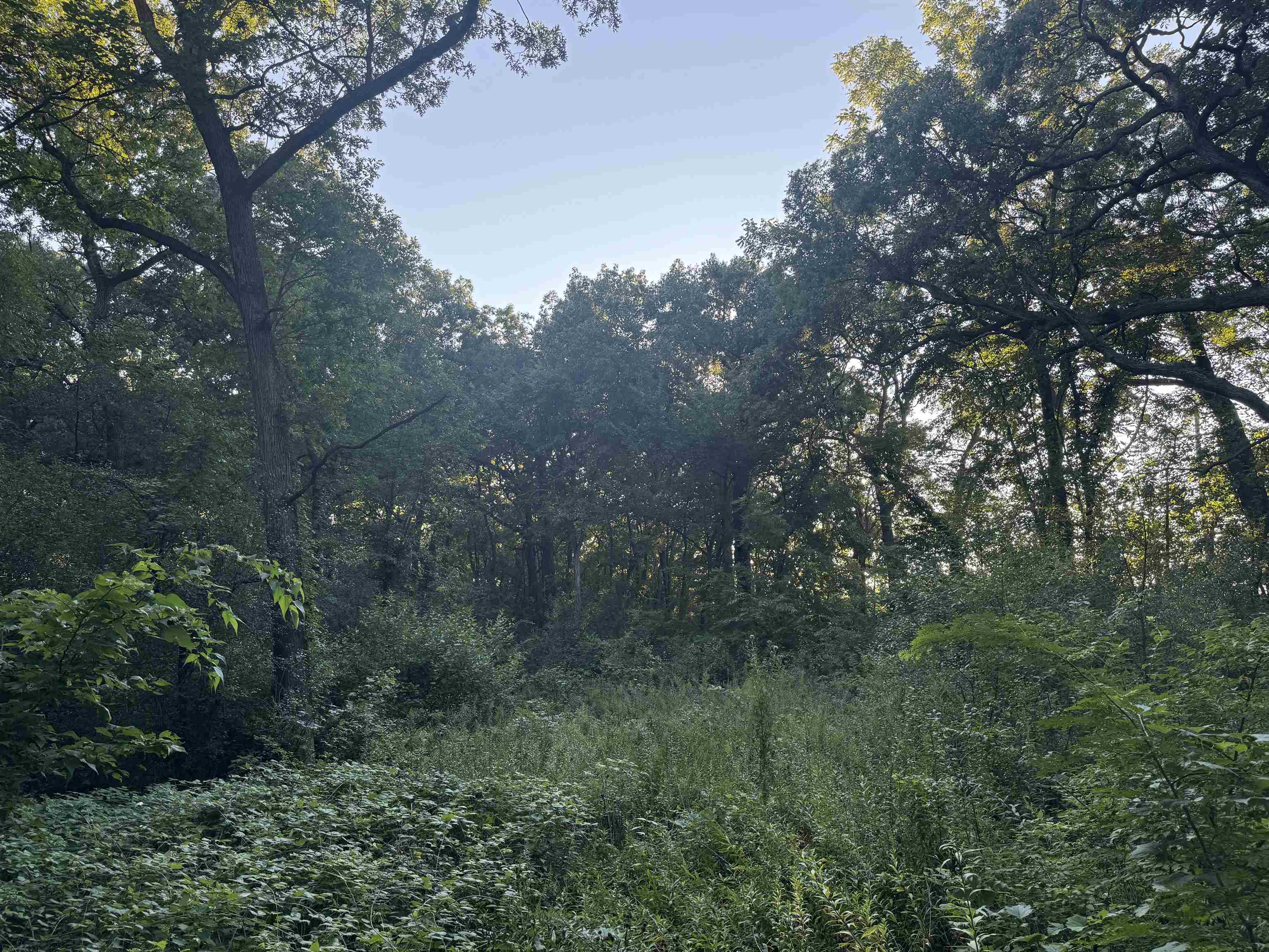 1.29 M/l Acres South Molar Beloit, WI 53511 - Photo 31 of 34