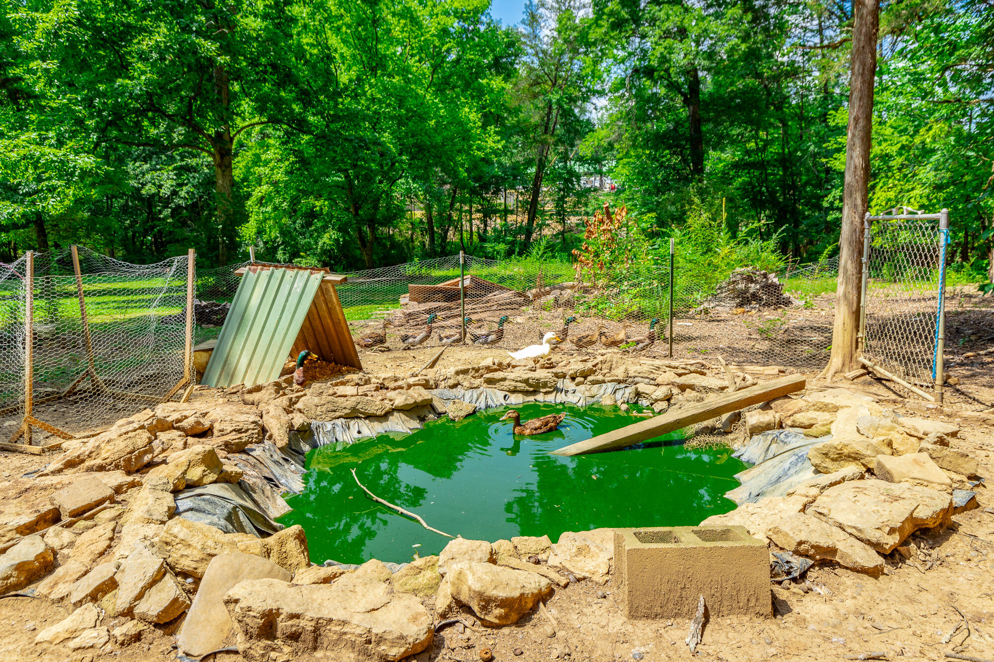 7636 Ooltewah Georgetown Road Ooltewah, TN 37363 - Photo 106 of 180 7636 Ooltewah Georgetown Road HD-23