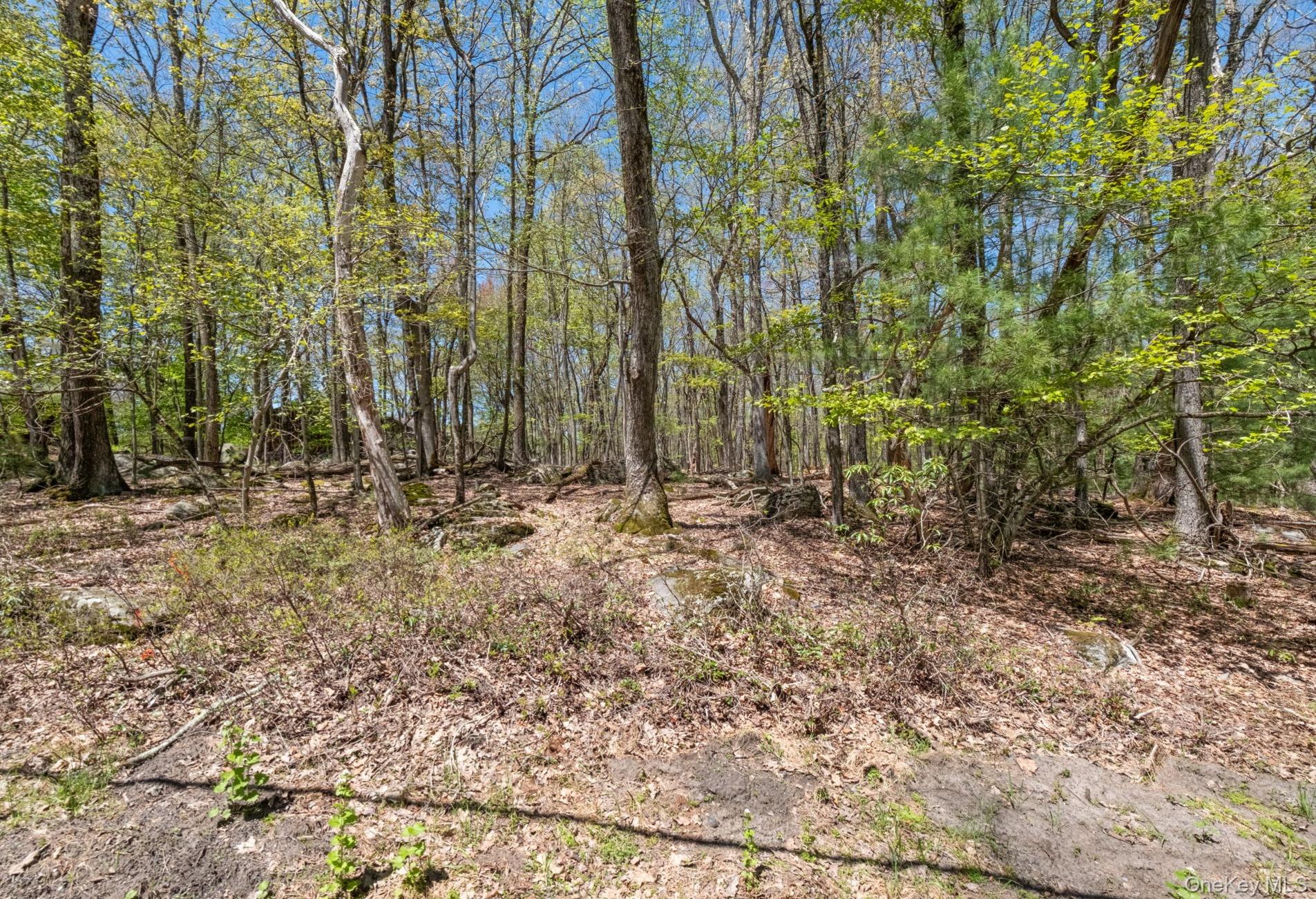 Canal Road Rock Hill, NY 12775 - Photo 2 of 3 a view of outdoor space with trees