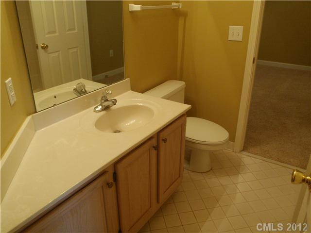 1133 Torrence Circle, Unit 1133 Davidson, NC 28036 - Photo 6 of 11 a bathroom with a sink and a toilet