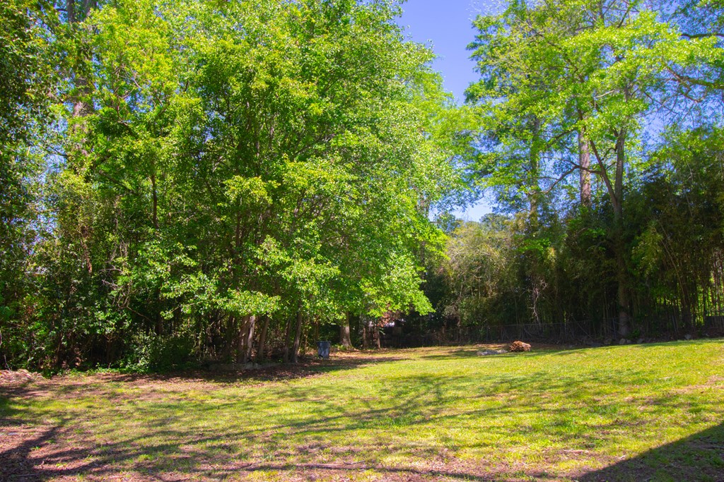 5943 Cecil Avenue Columbus, GA 31909 - Photo 4 of 14