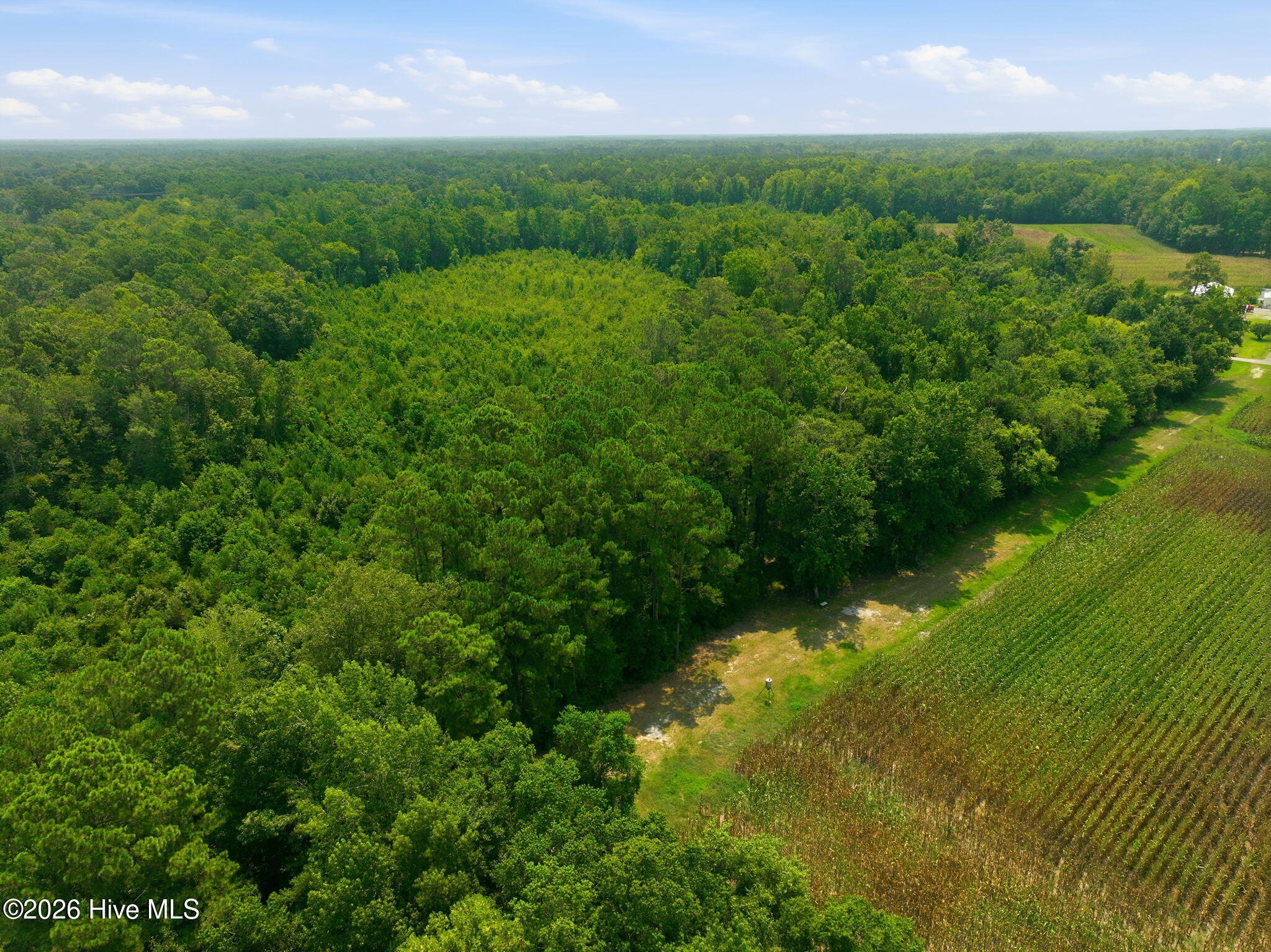 270 Buck Jones Road Wallace, NC 28466 - Photo 39 of 70 Gallery Image 39