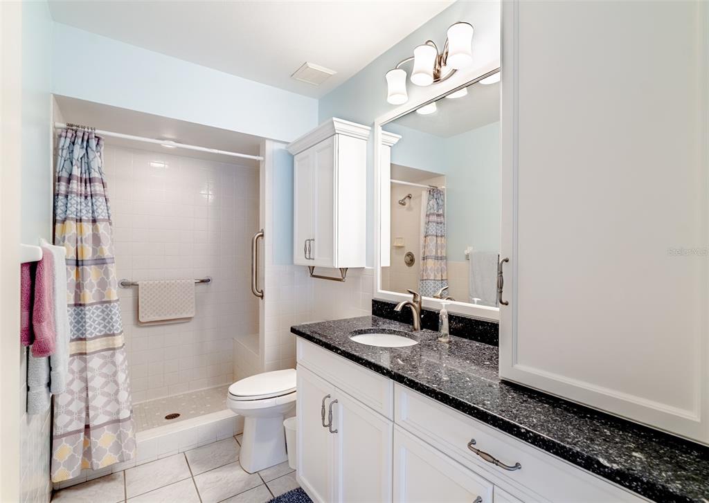 2296 Monaco Lane, Unit 8 Clearwater, FL 33763 - Photo 15 of 28 a bathroom with a granite countertop sink a toilet a mirror and shower