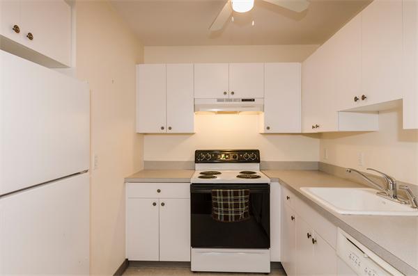 46 Ober Road Newton, MA 02459 - Photo 10 of 19