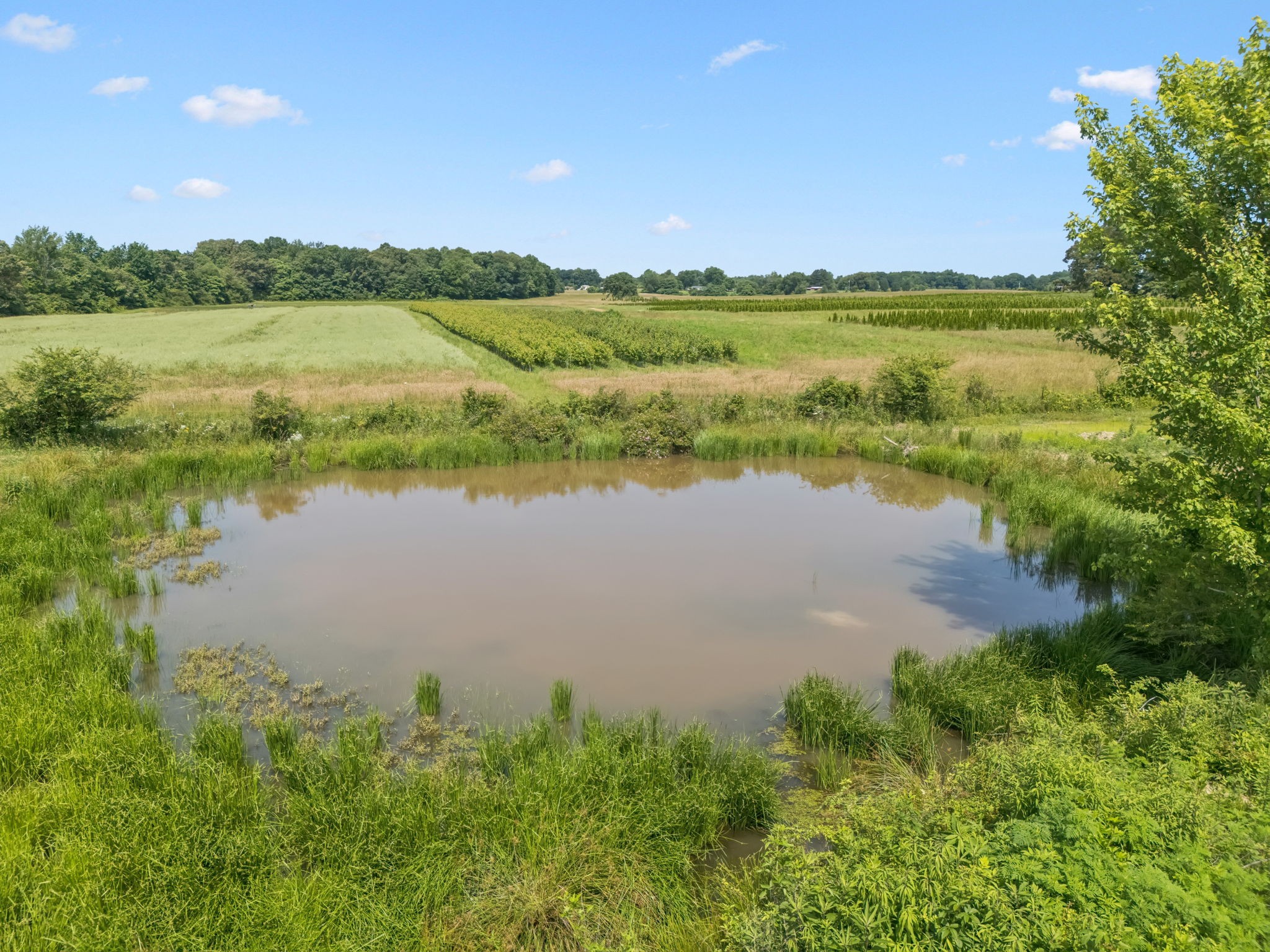 4791 Short Mountain Road Woodbury, TN 37190 - Photo 74 of 88