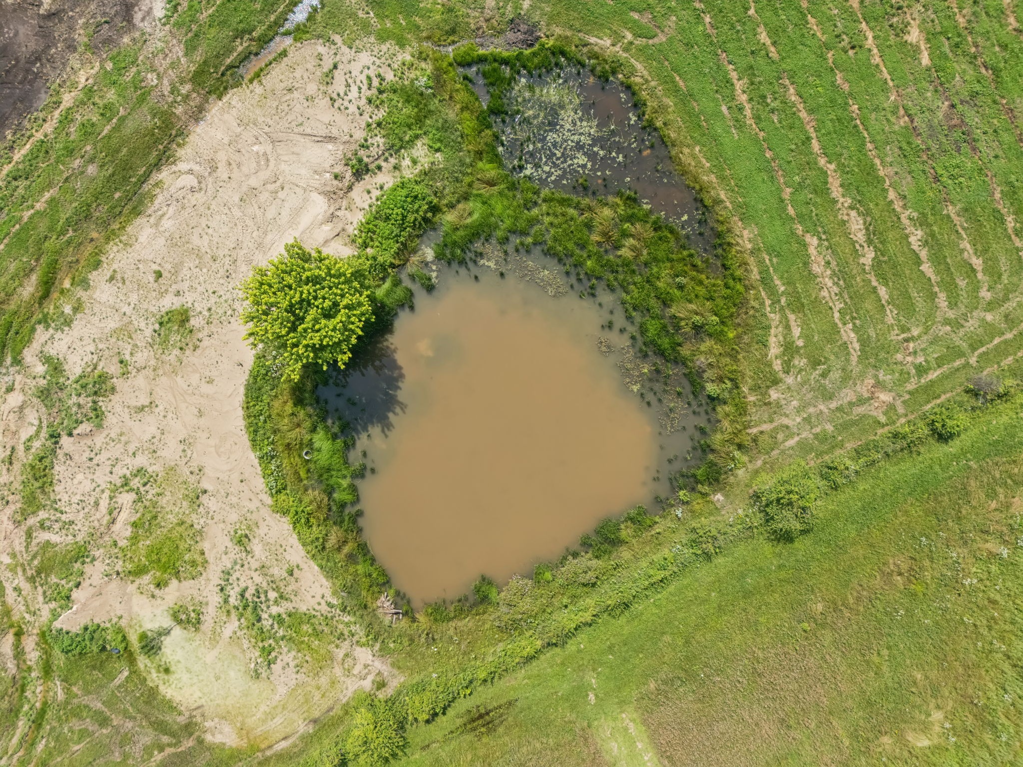 4791 Short Mountain Road Woodbury, TN 37190 - Photo 77 of 88