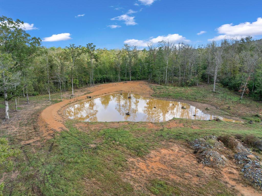 954 Evans Road Jasper, AL 35501 - Photo 4 of 19 DJI_20251021145329_0114_D