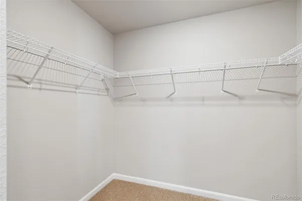 a view of a rack on the wall
