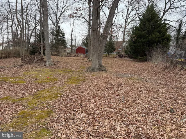 a view of outdoor space with trees