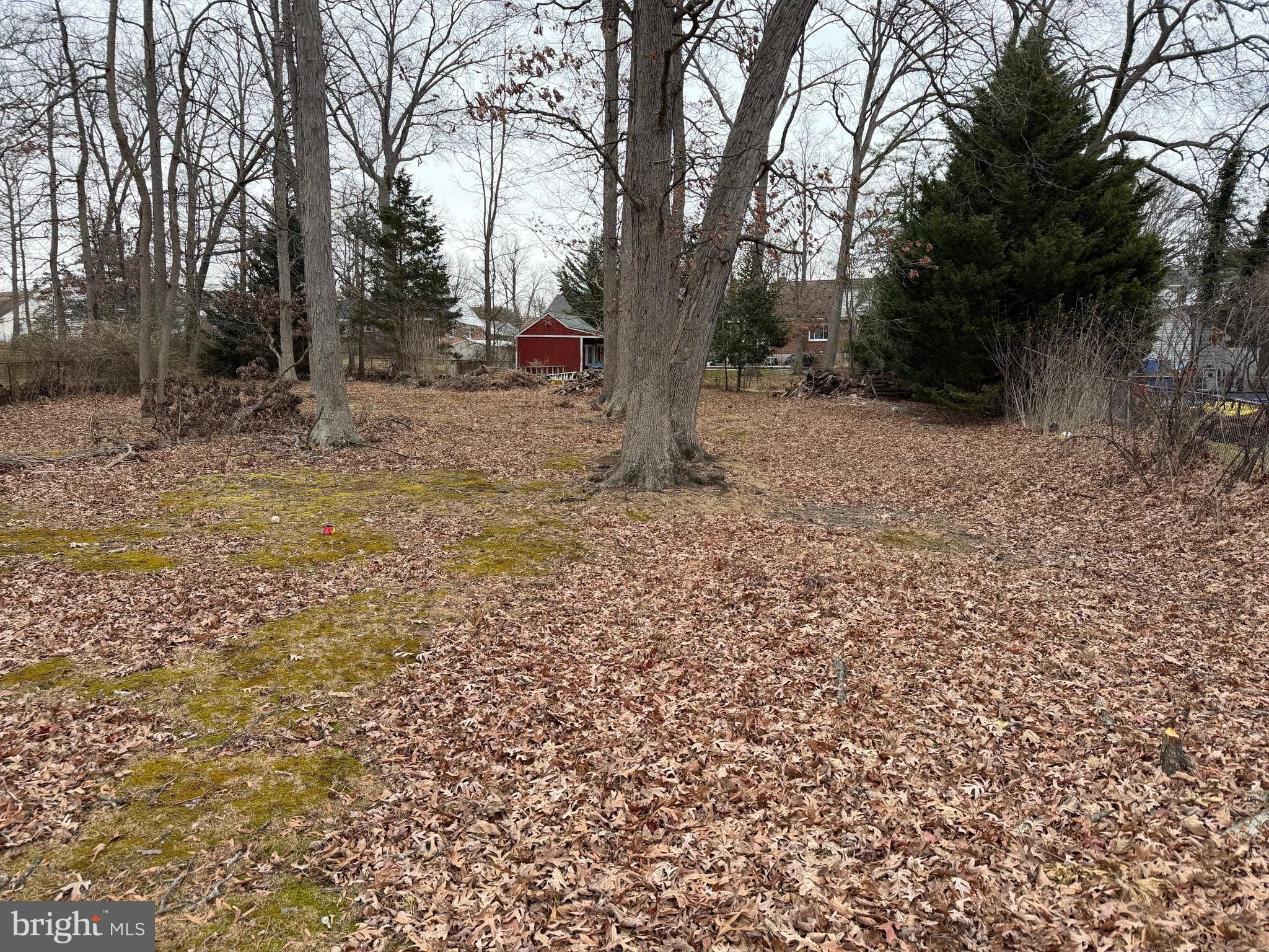 4217 Darnall Road Nottingham, MD 21236 - Photo 2 of 4 a view of outdoor space with trees