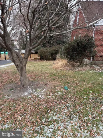 a view of a yard with a tree