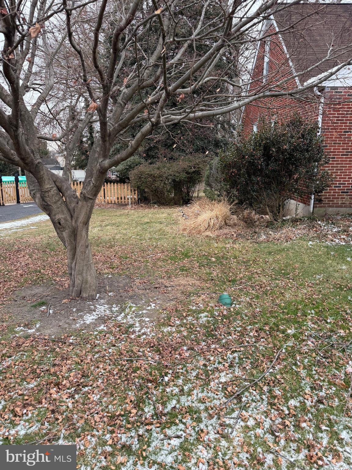 4217 Darnall Road Nottingham, MD 21236 - Photo 4 of 4 a view of a yard with a tree
