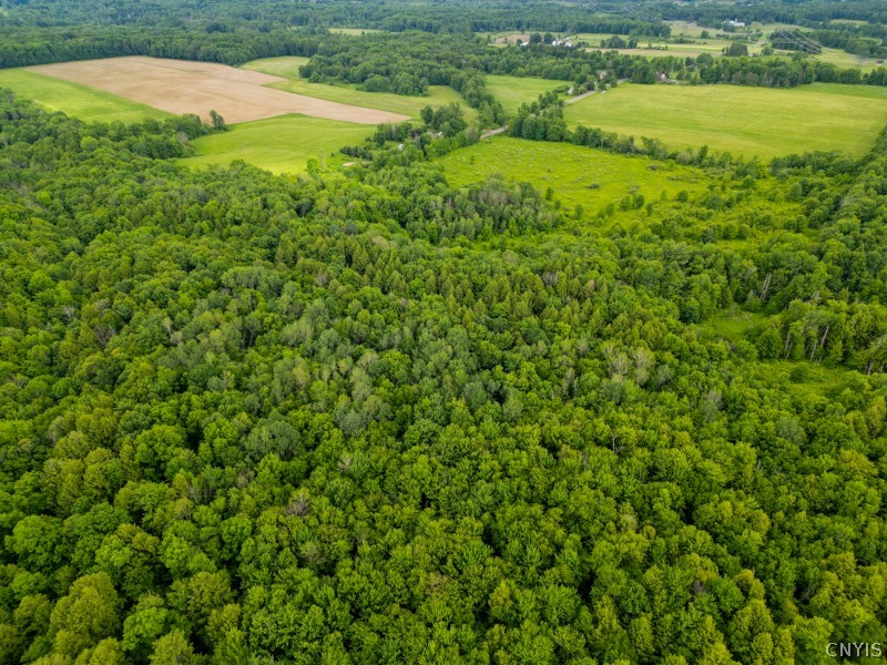 8031 Benson Road Floyd, NY 13354 - Photo 19 of 33