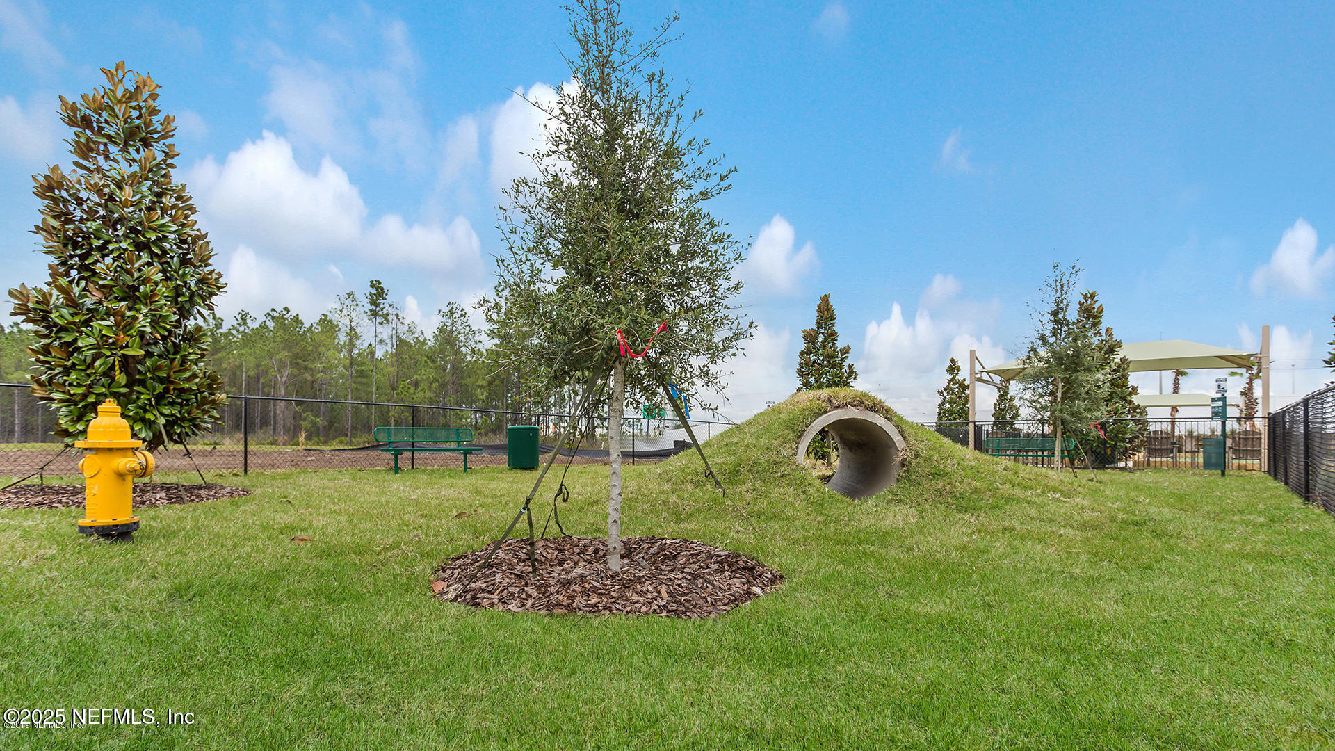 516 Lumpkin Street Jacksonville, FL 32222 - Photo 42 of 45 a view of outdoor space