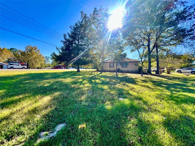a view of a park with large trees
