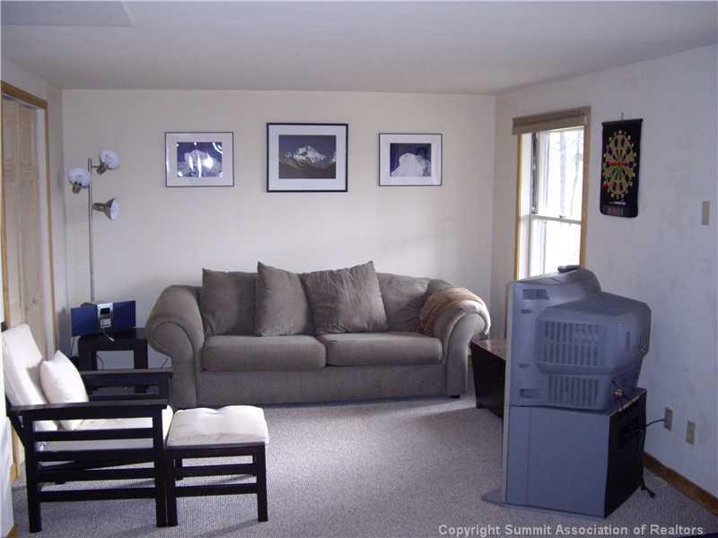 79 Bearing Tree Road Breckenridge, CO 80424 - Photo 18 of 25 a living room with furniture