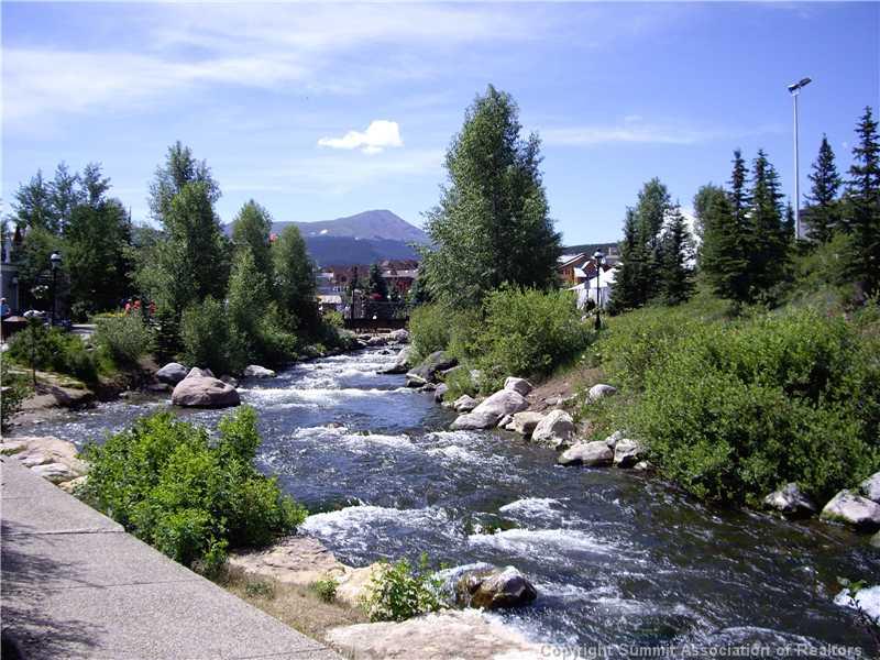 79 Bearing Tree Road Breckenridge, CO 80424 - Photo 25 of 25 a view of a garden with a building in the background