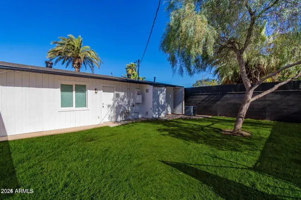 a view of a backyard with potted plants and large trees