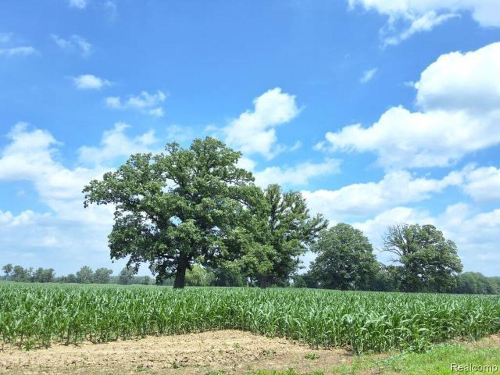 Auction Lot #3 Auction Road Allenton, MI 48002 - Photo 2 of 4