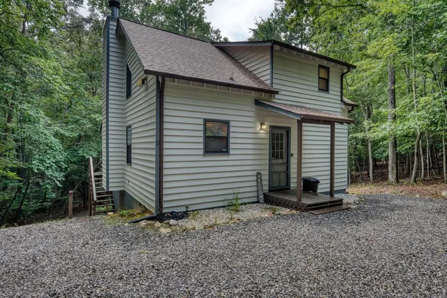 a view of a forest with trees in the background