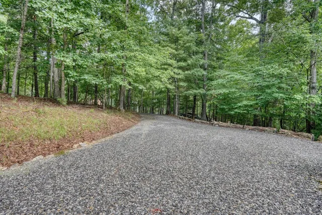 a view of a patio with a backyard