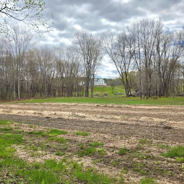 866 Main Street Lincoln, ME 04457 - Photo 68 of 69 Tilled farmland