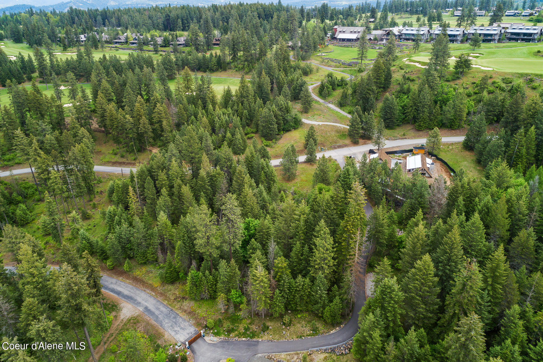 6557 South Buckrail Road Harrison, ID 83833 - Photo 7 of 16 Aerial_Lot94-4