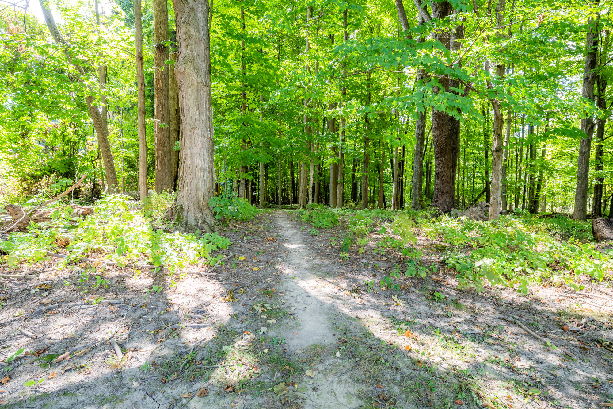 8006 Forest Beach Road Watervliet, MI 49098 - Photo 23 of 29 Forest Beach-125