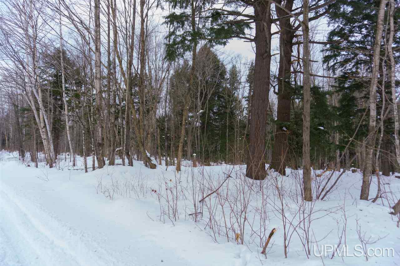N2025 Co Road Marquette, MI 49855 - Photo 46 of 48
