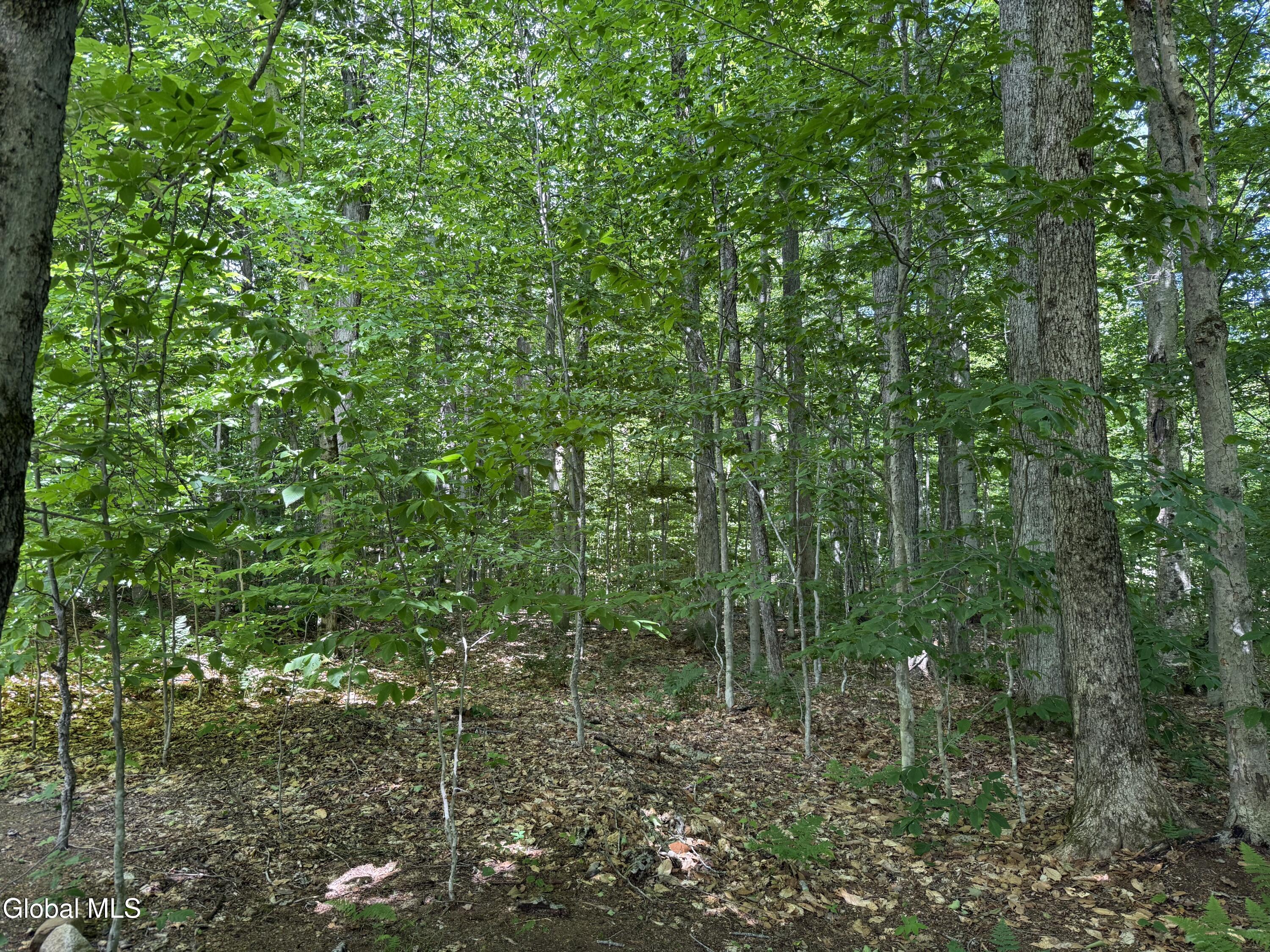 303 North Shore Road Gloversville, NY 12078 - Photo 39 of 57 IMG_5748