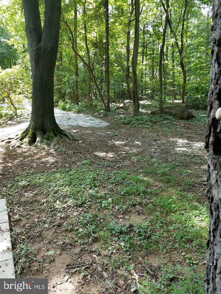 4625 Fake Road York, PA 17406 - Photo 26 of 28 Gallery Image 26