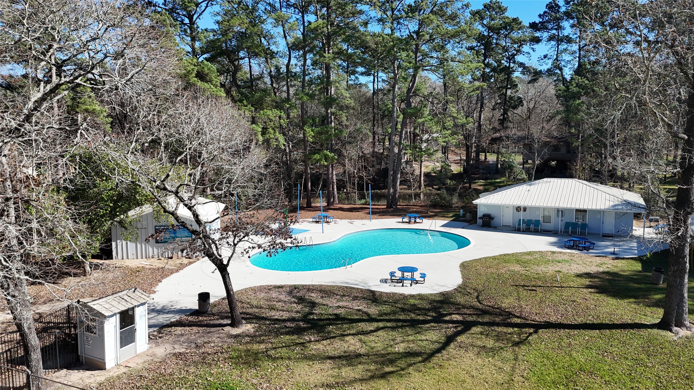 6387 Oak Knoll Road Montgomery, TX 77316 - Photo 3 of 41 Community Pool