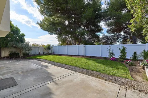 a view of a backyard