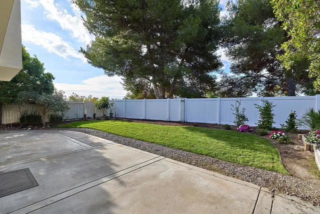 a view of a backyard