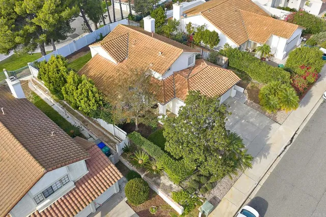 a view of a yard with plants