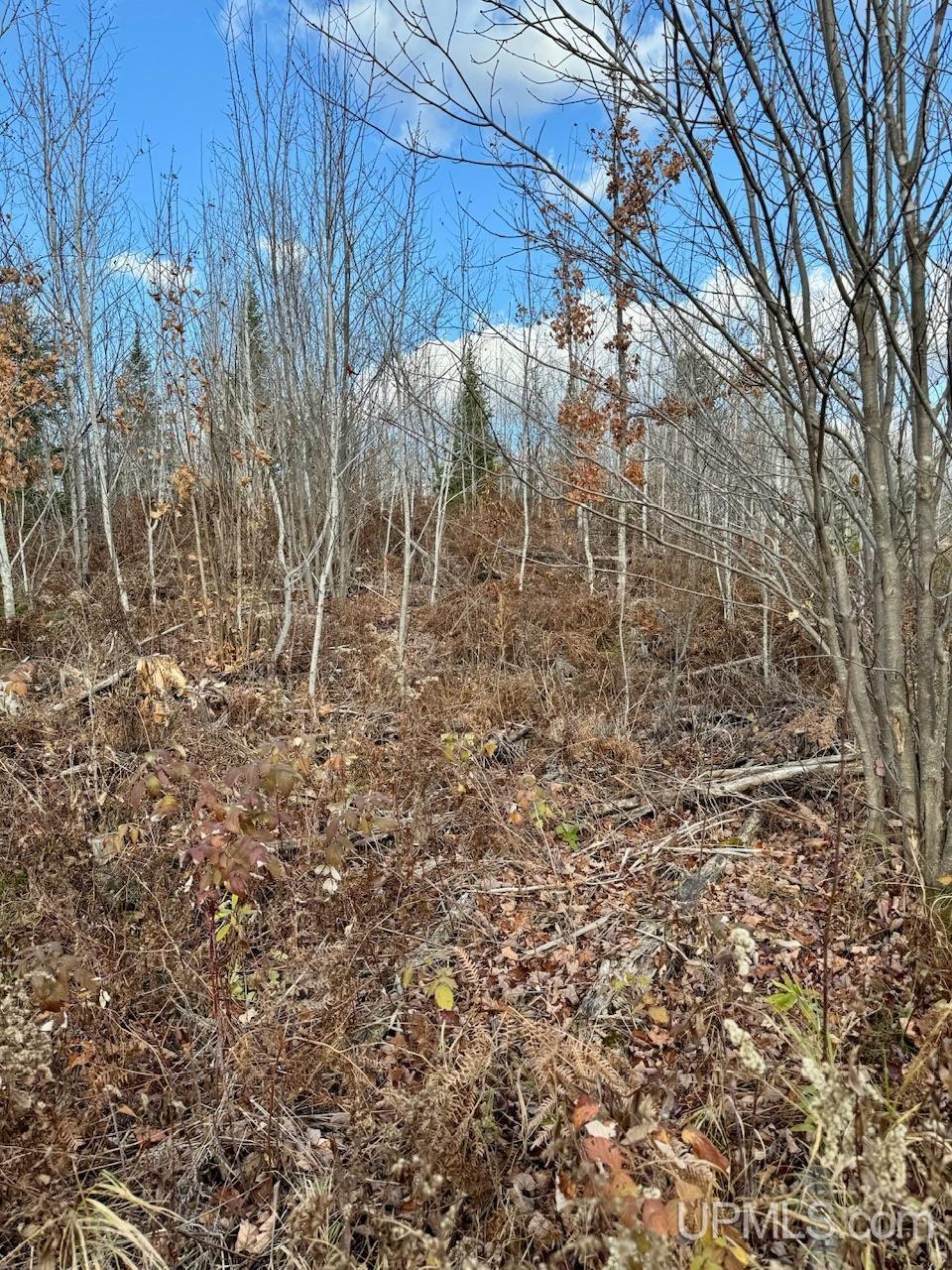 27.5 Rd 28 Acres Trail Gladstone, MI 49837 - Photo 22 of 24