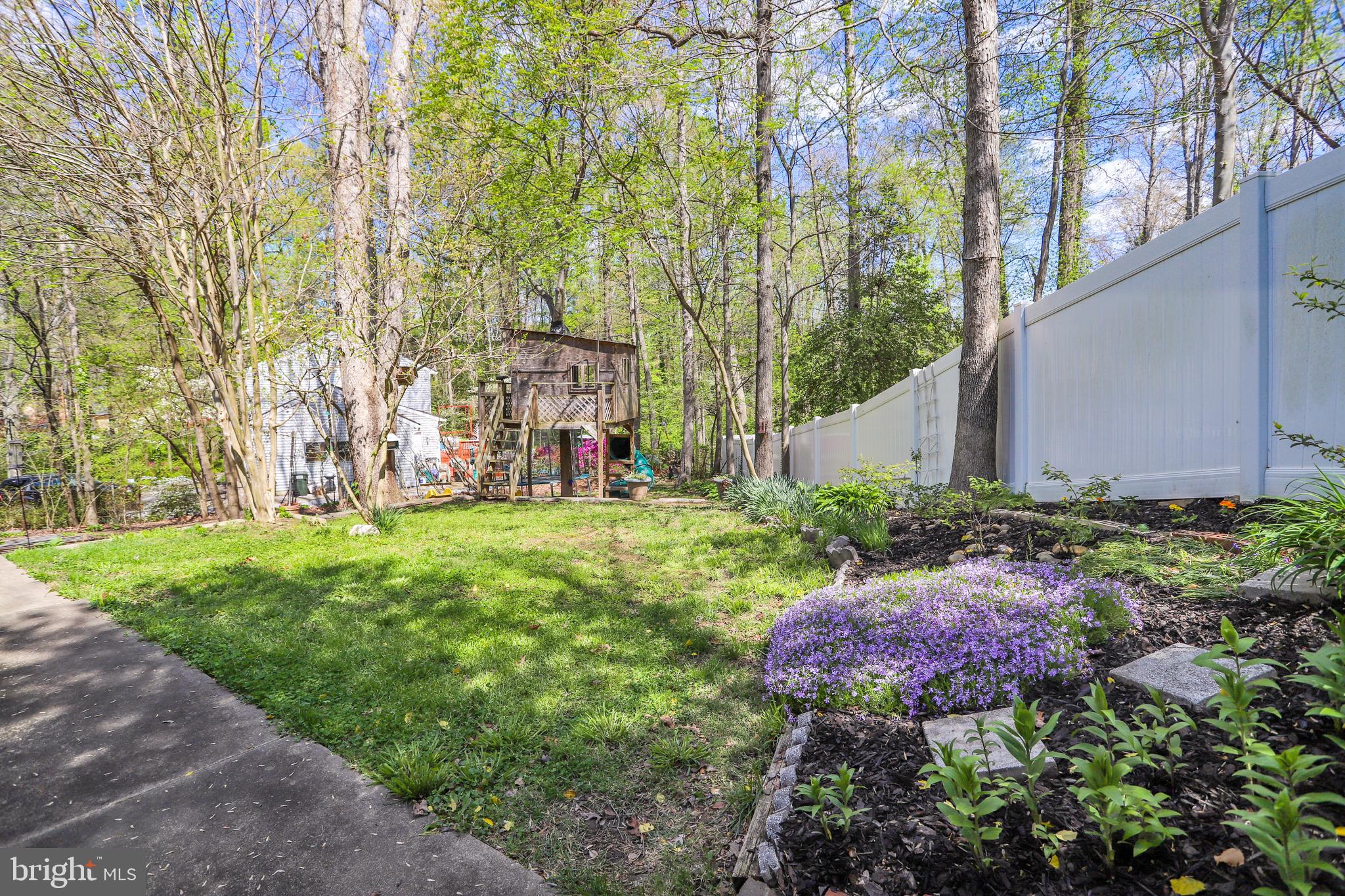 6671 Ridgeway Drive Springfield, VA 22150 - Photo 42 of 53 a garden with lots of plants and trees