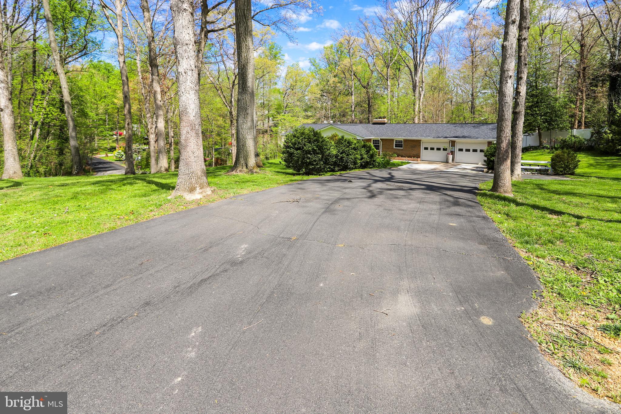6671 Ridgeway Drive Springfield, VA 22150 - Photo 45 of 53 a view of a yard with plants and trees
