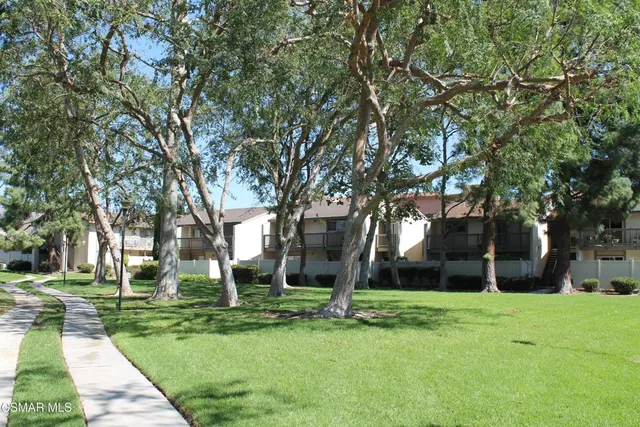 a view of a garden with a tree