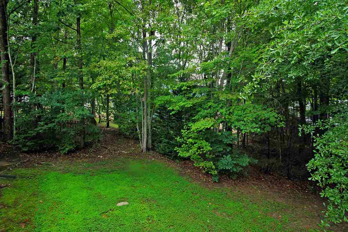 5305 Middleton Road Durham, NC 27713 - Photo 24 of 25 back yard