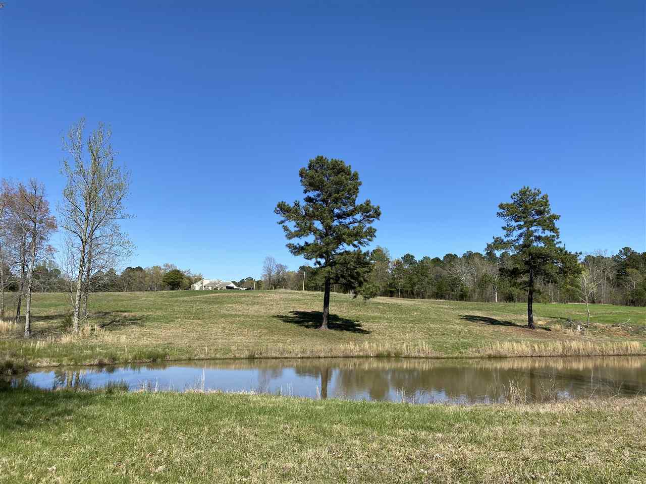 94 Winding Ridge Road Adamsville, TN 38310 - Photo 3 of 25