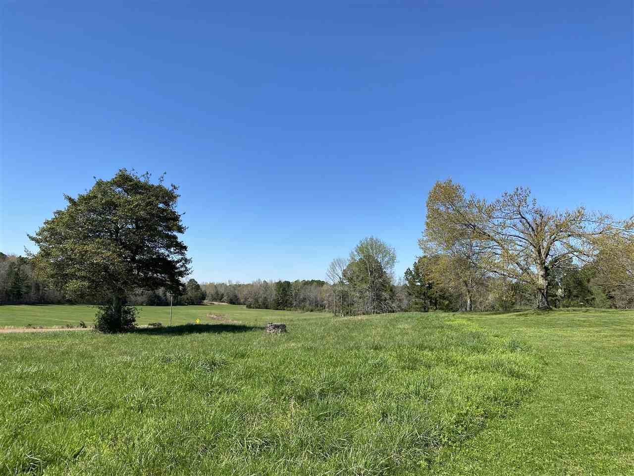 94 Winding Ridge Road Adamsville, TN 38310 - Photo 22 of 25