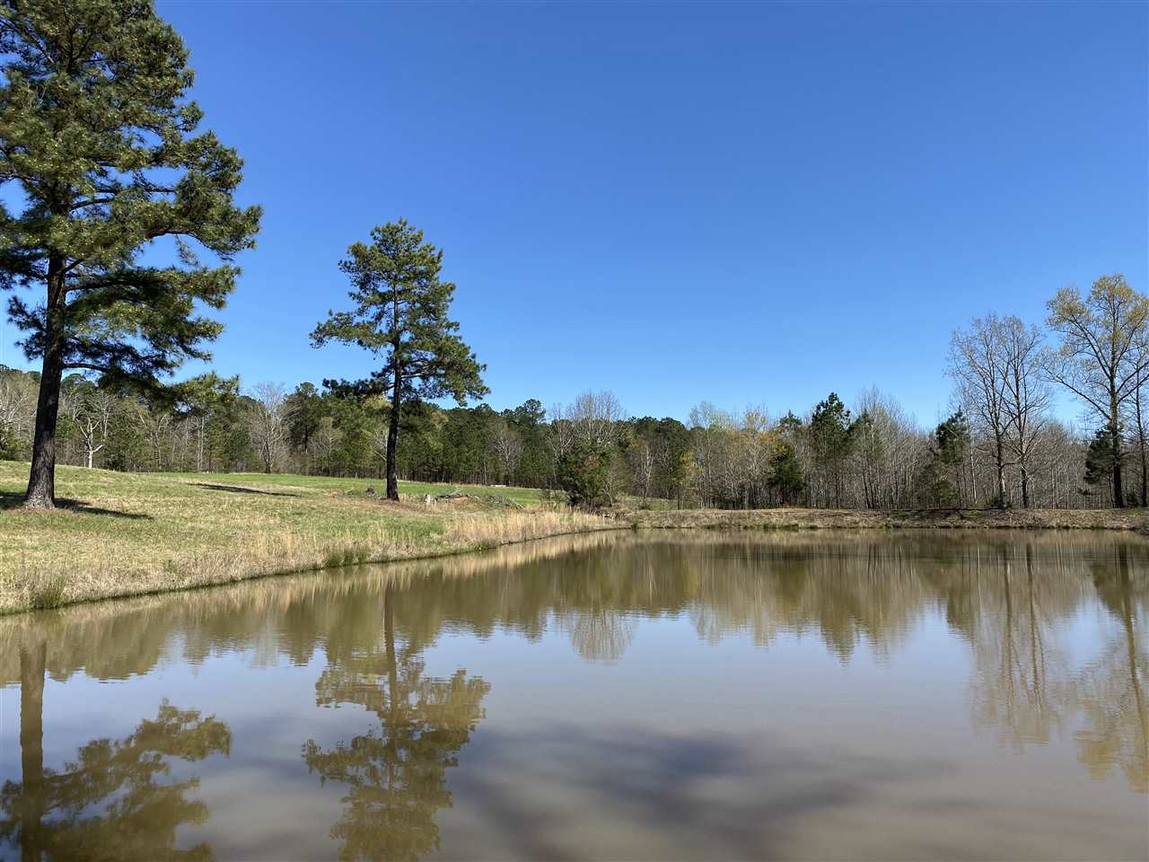 94 Winding Ridge Road Adamsville, TN 38310 - Photo 4 of 25